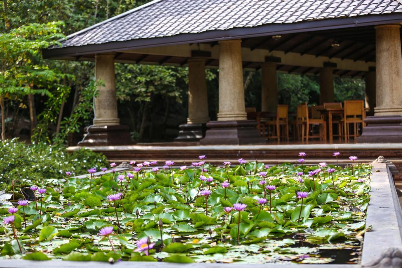 Kaveri Resort Sigiriya Exterior foto