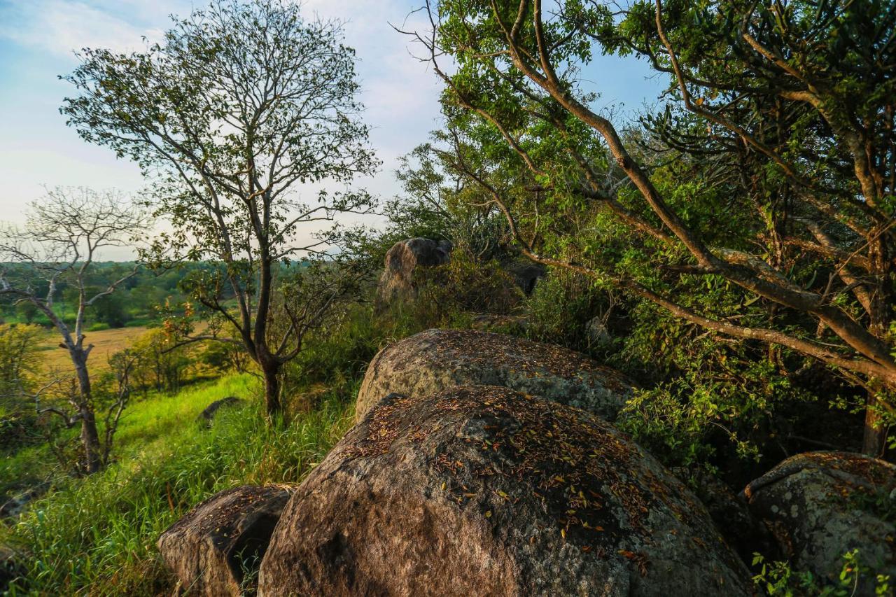 Kaveri Resort Sigiriya Exterior foto